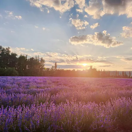 Schloss Δωμάτια σε οικογενειακή κατοικία *