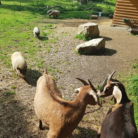 Δωμάτια σε οικογενειακή κατοικία Schloss *