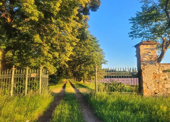 Homestay szállás Schloss *