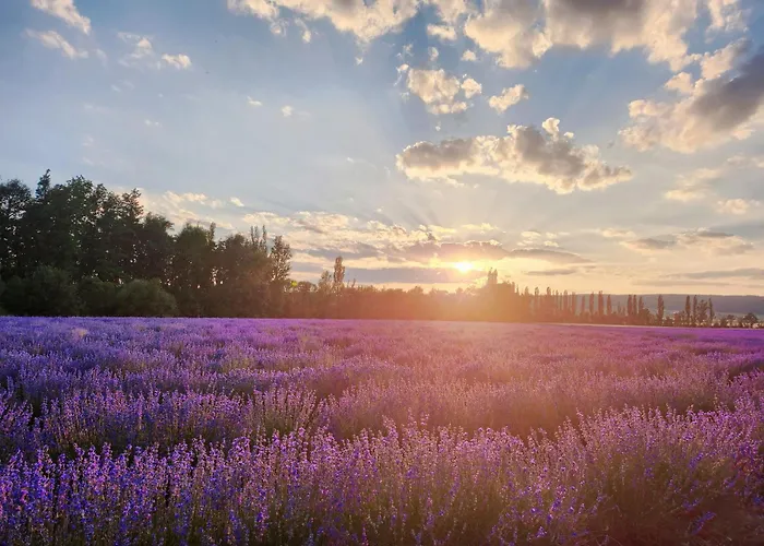 Schloss Homestay szállás *