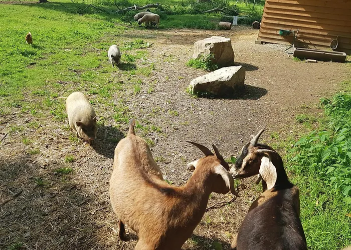 Δωμάτια σε οικογενειακή κατοικία Schloss *